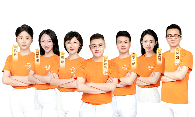 我们的团队